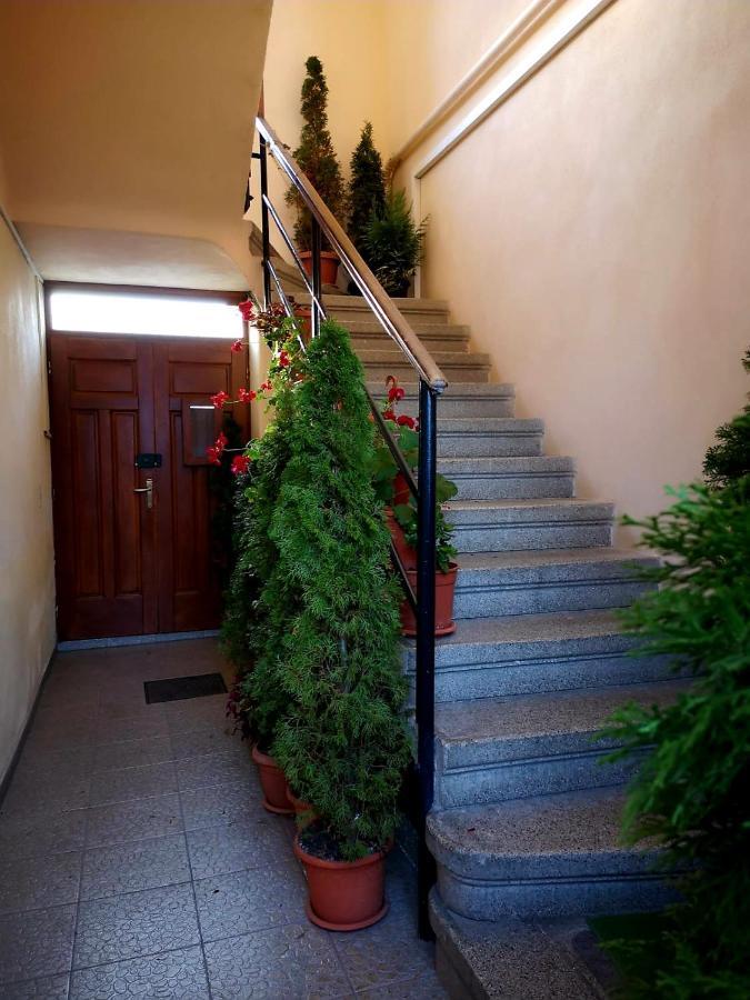 Villa Casa Ioana Braşov Esterno foto