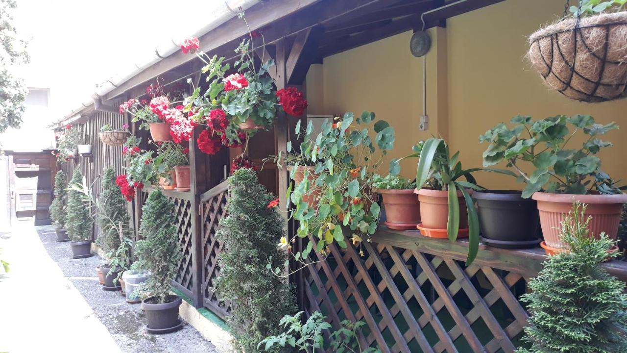 Villa Casa Ioana Braşov Esterno foto