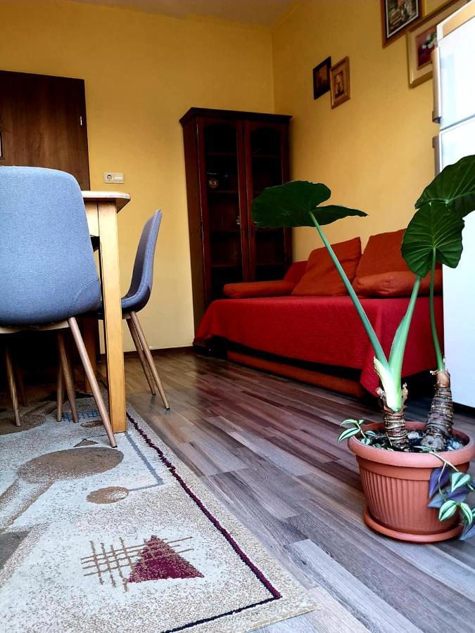 Villa Casa Ioana Braşov Camera foto