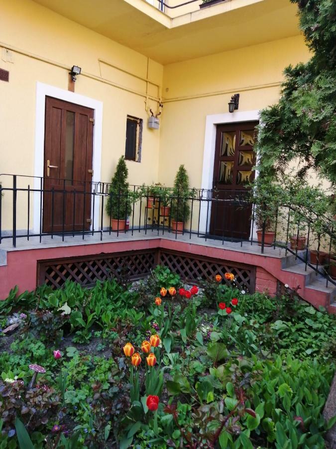 Villa Casa Ioana Braşov Esterno foto